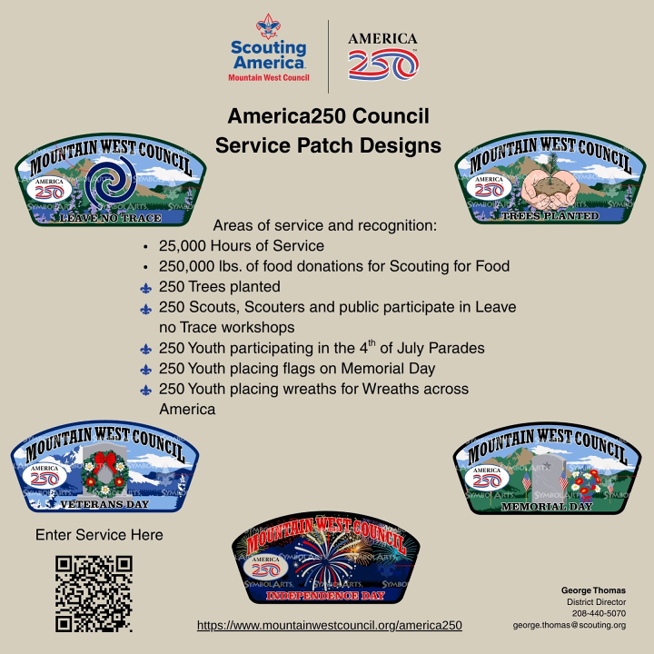 a25o patch promo logo